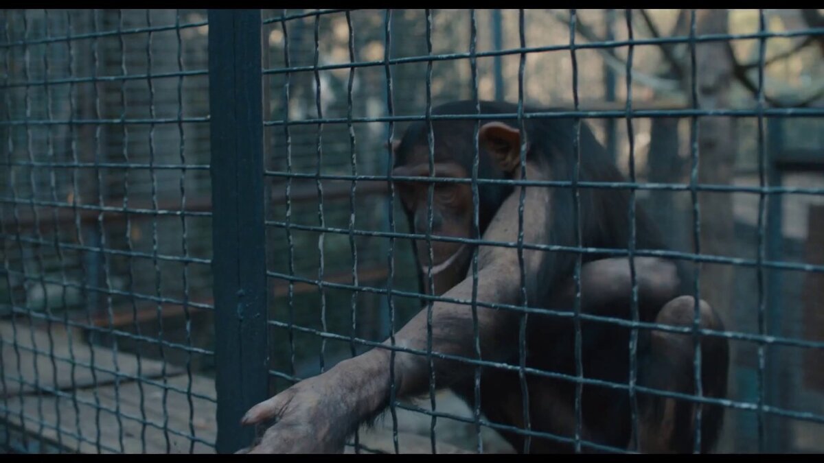 Кадр из фильма