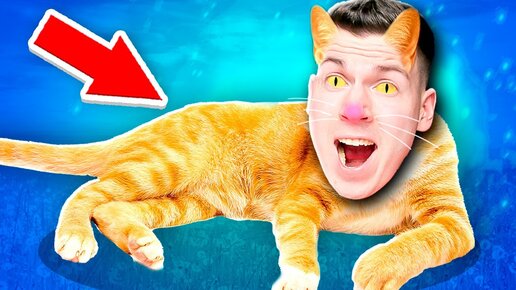 🐈 Я ПРЕВРАТИЛСЯ в КОТА! Симулятор Кошки ! 🙍‍♂