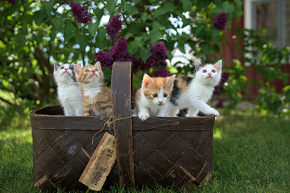 Photo by Jari Hytönen 
