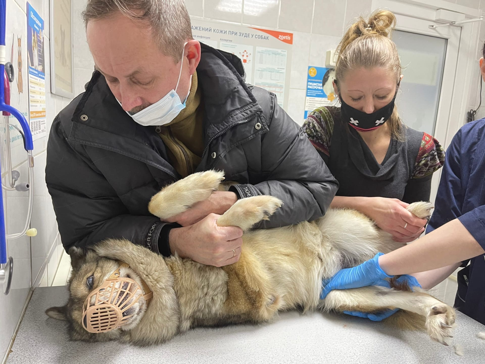 Пирата приходилось крепко держать