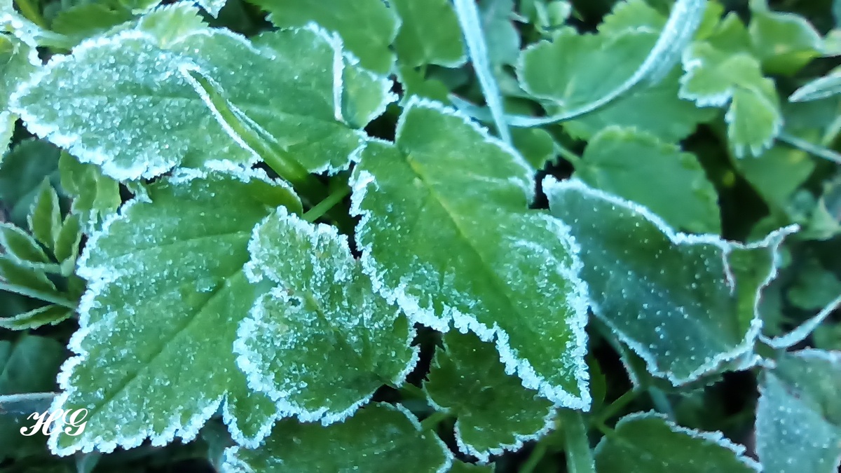 Листайте галерею