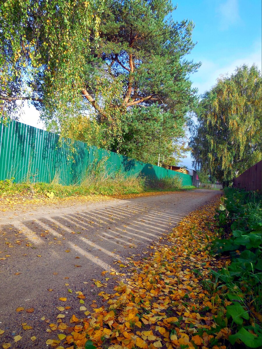 Даже высокие заборы уже не раздражают...