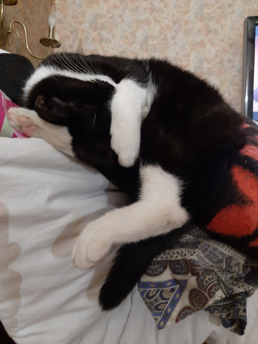 Йога ребус от Вованны Новосельцевой.