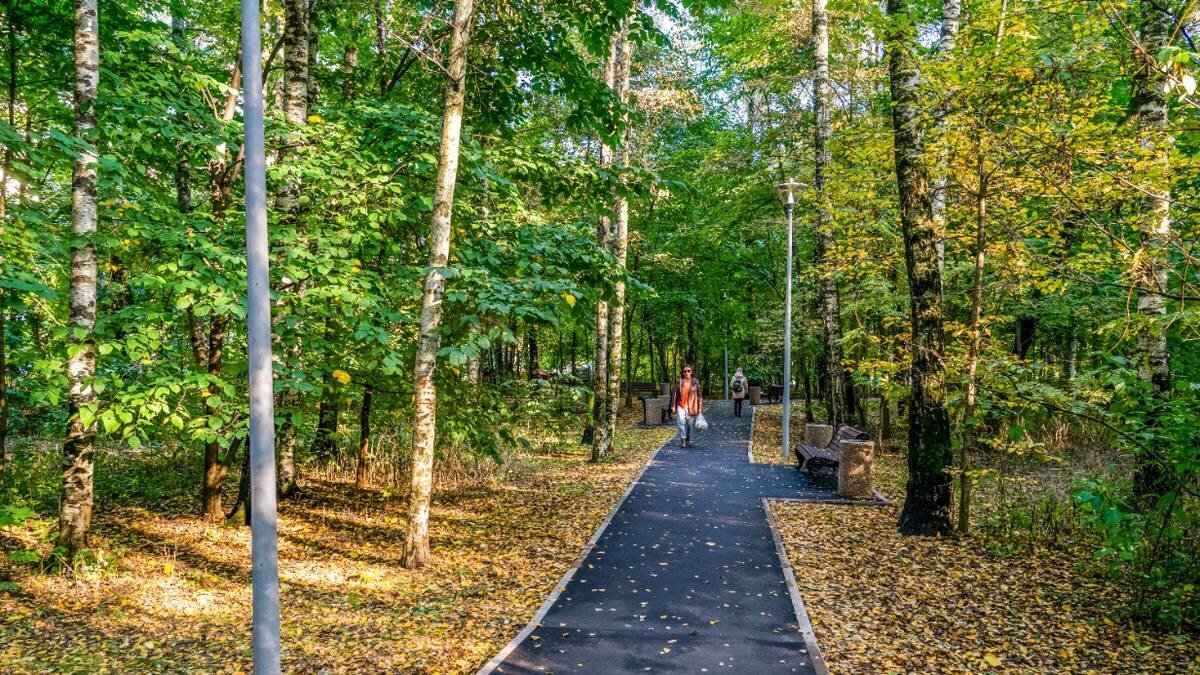    Фото: Пресс-служба Комплекса городского хозяйства Москвы