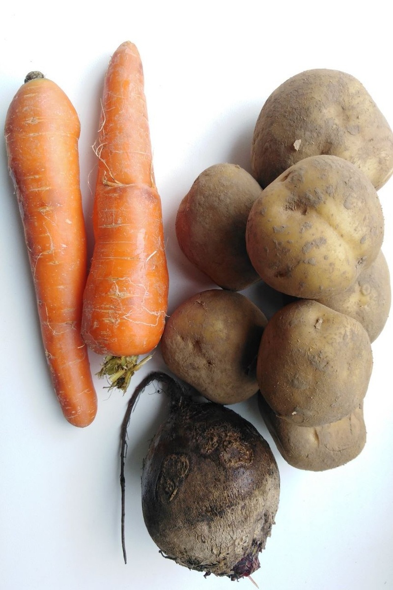     В Липецкой области за неделю подорожали овощи Анастасия ЛИСОВА