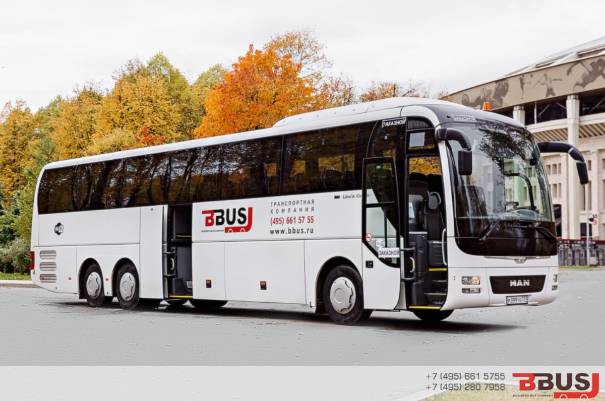 Фотография из свободных источников