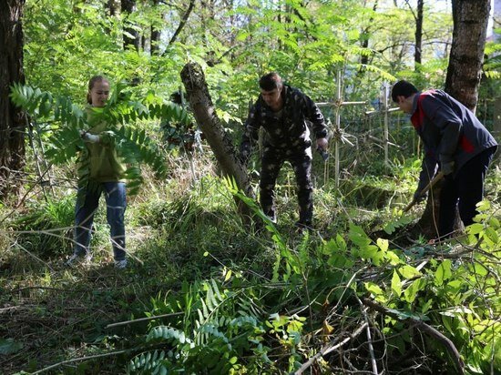     Фото пресс-службы администрации города Ставрополя