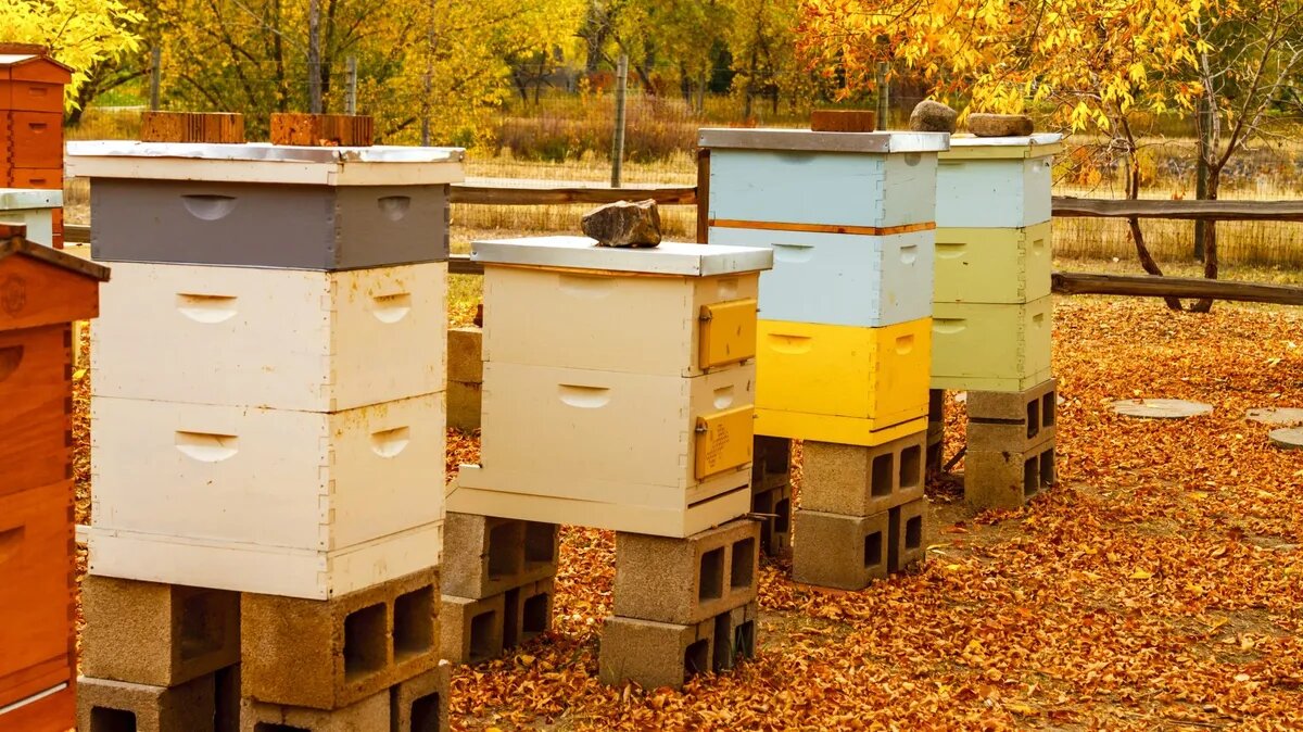 В этот день работать могут только пасечники. Фото: pxhere.com