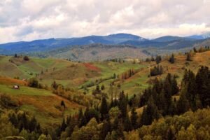    Фото: photocentra.ru Ирина Моргунова
