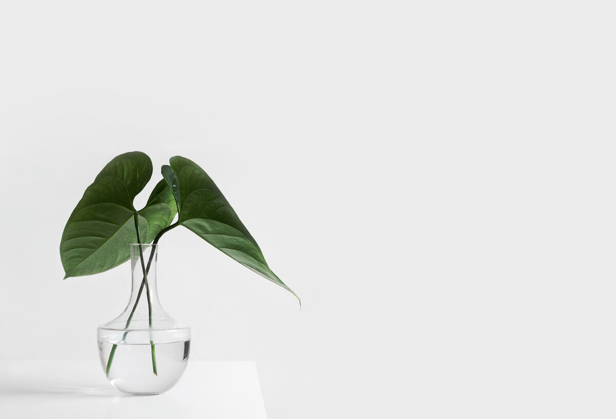 Unsplash.com