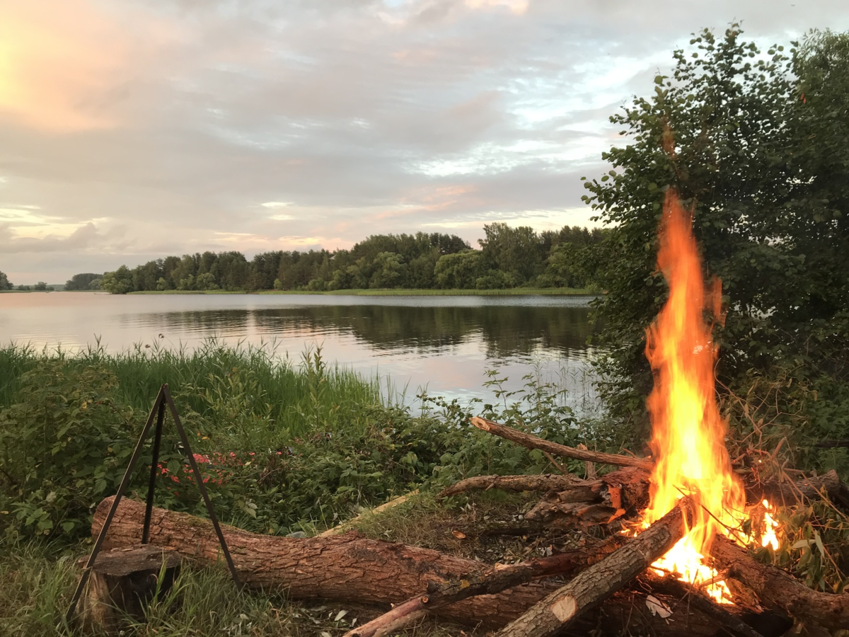 Рыбалка в лесу