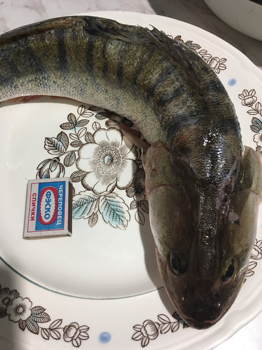 1,5 кило. Я довольна. Разнообразие к ужину и ничего придумывать не надо