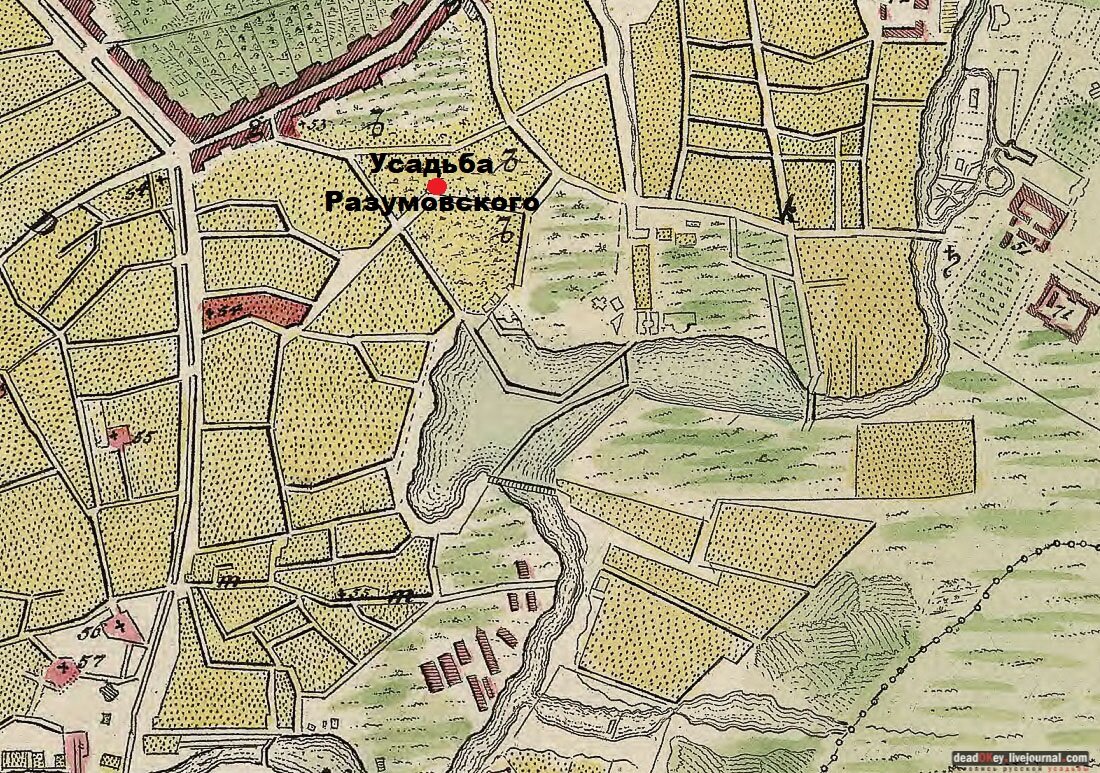 Место, где будет построена усадьба на Мичуринском плане 1739 года