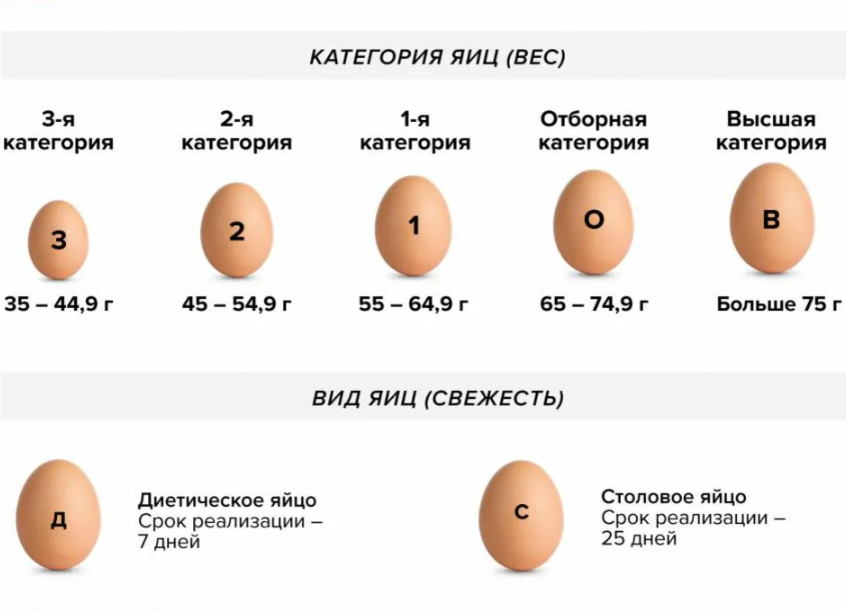 Какие яйца лучше с1 или с2