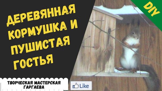 Белка и кормушка