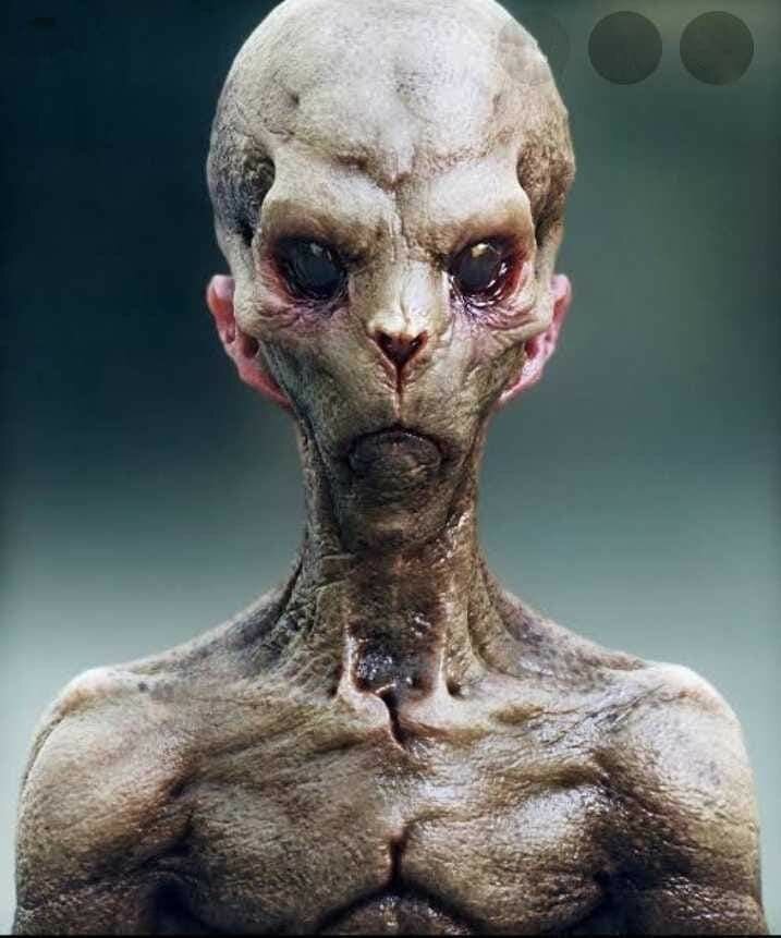 Изображение взято на сайте pinterest.com