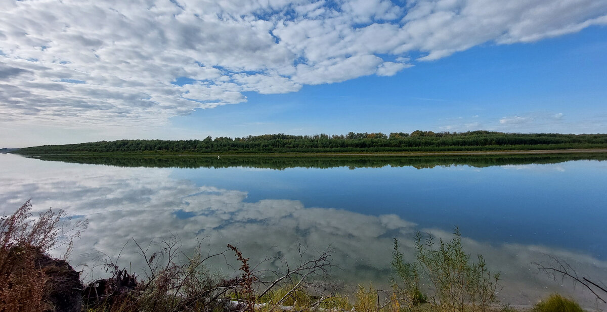 Из архива Своя Дорога
