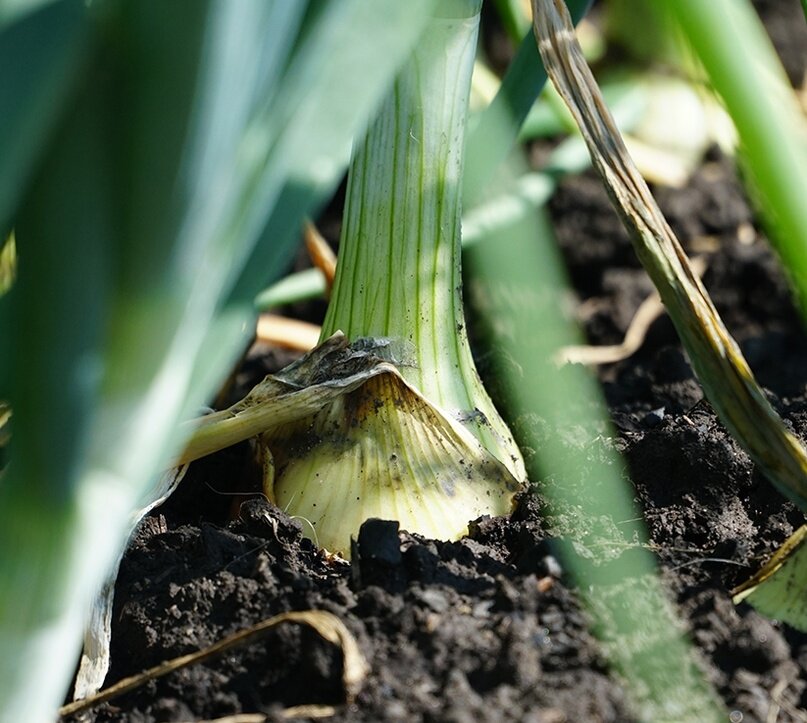 Создать карусельДобавьте описание