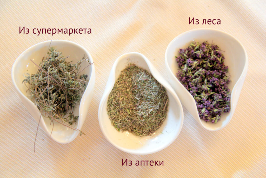 Три чабреца. ЛетоЧай 2015. © Ольга Никандрова