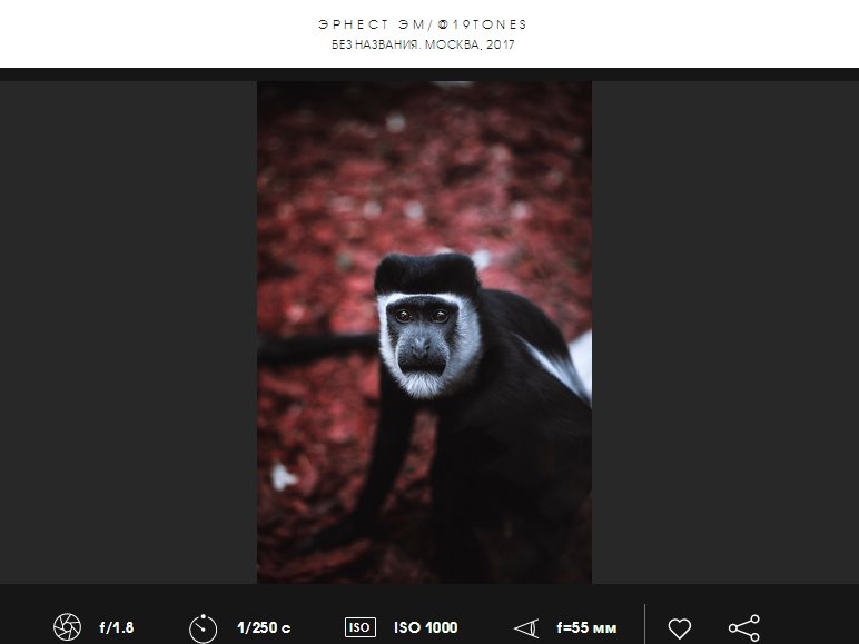 Камера α7R с байонетом E и полнокадровой матрицей + Sonnar T* FE 55 мм F1.8 ZA