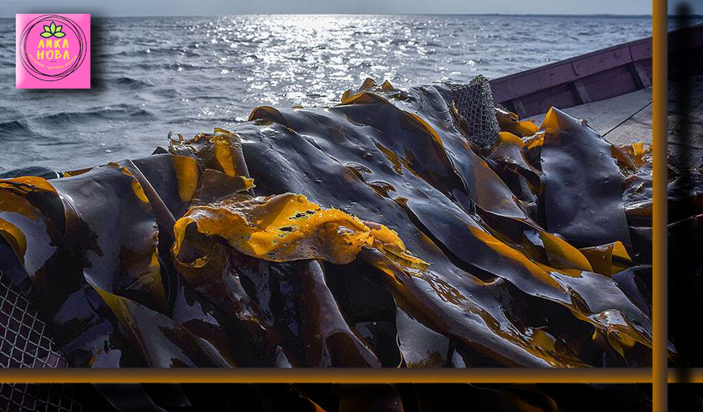 Так для нас добывают этот полезный продукт