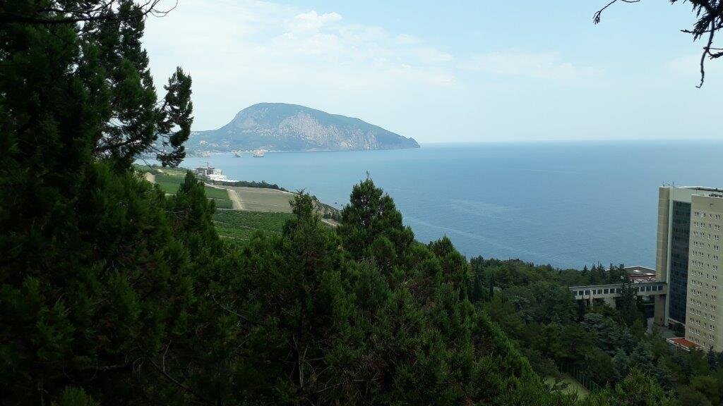 Крым, санаторий Ай-Даниль, Ялта. Фото автора