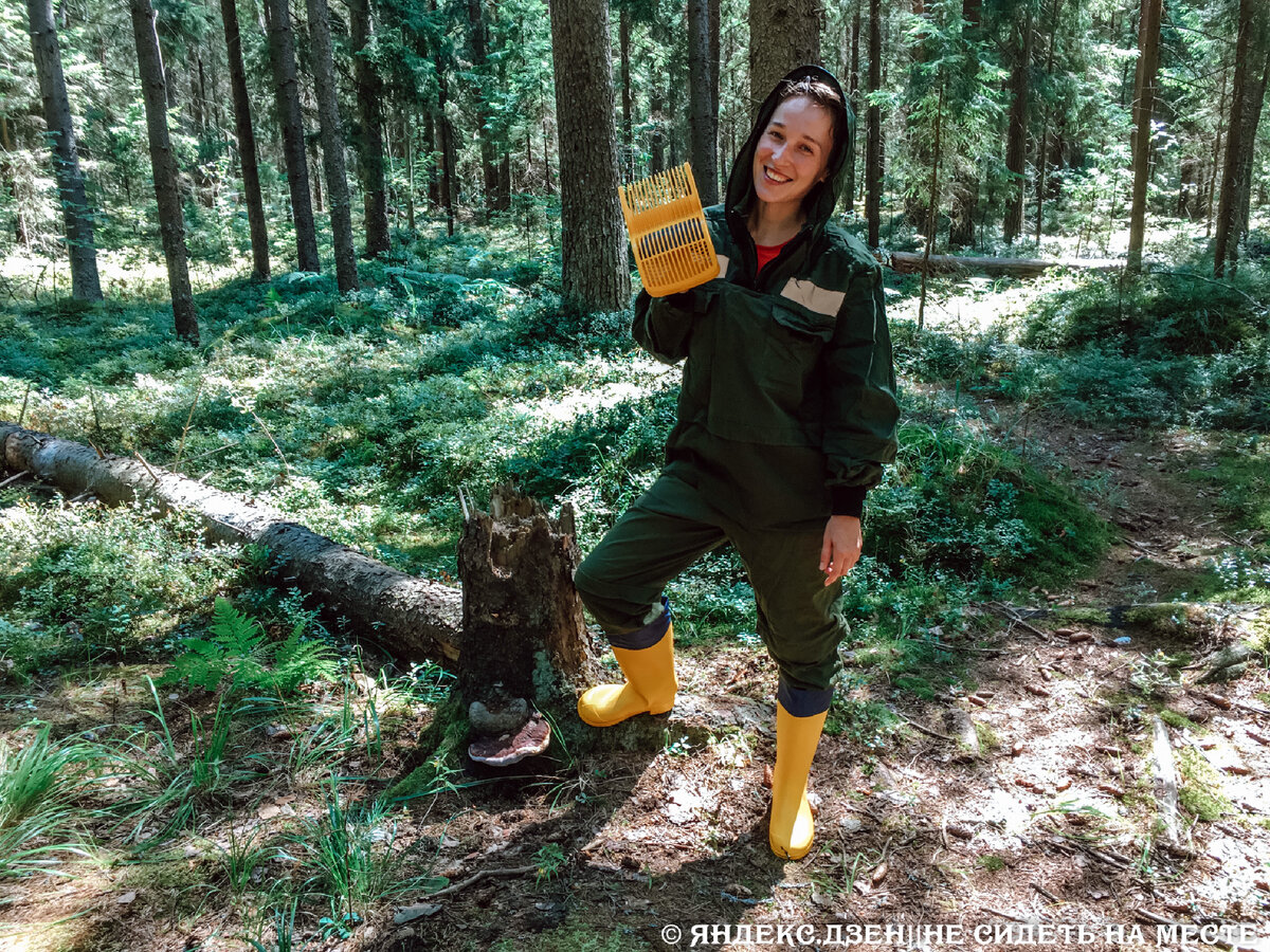 Всем привет, меня зовут Александра. И я впервые собирала ягоды по-крупному в лесу