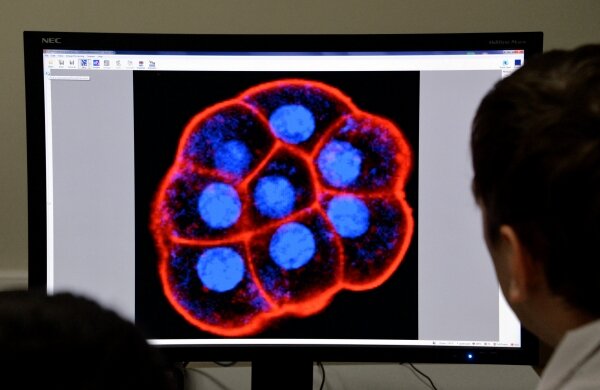 Фото: РИА Новости