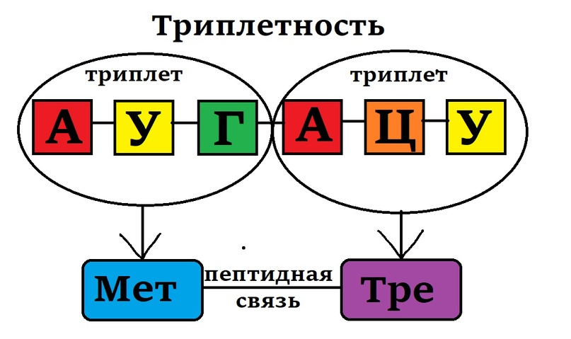 ИРНК мсай черная.