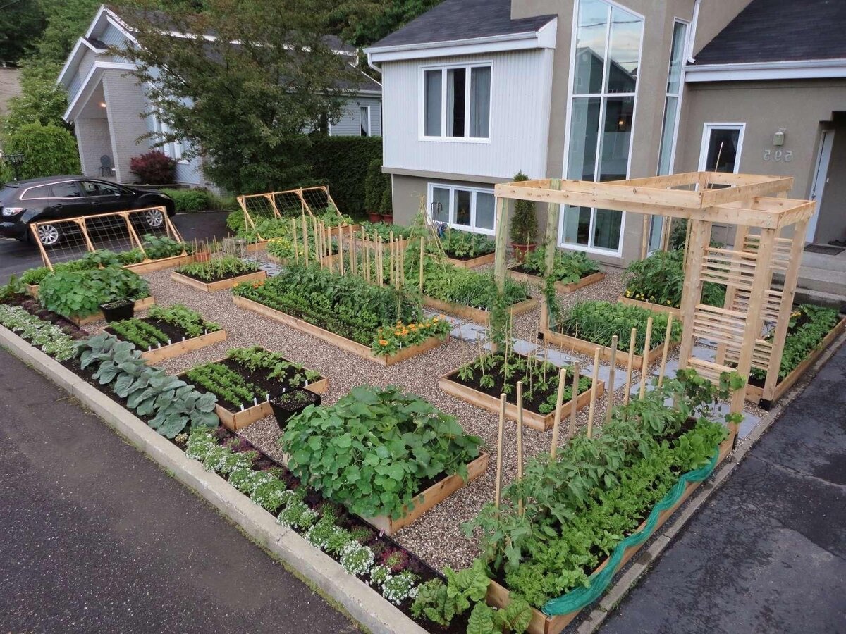 Яркие идеи для украшения сада и огорода