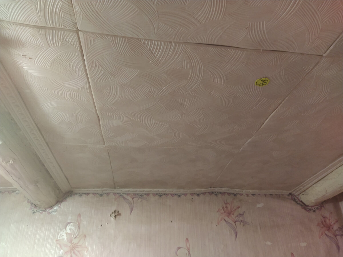 Такое себе, конечно.