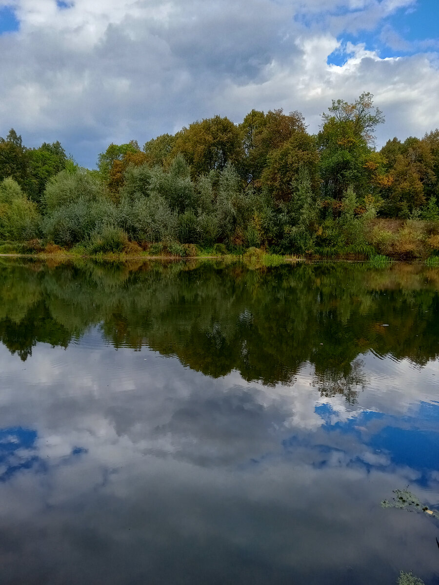 И как я раньше этого не замечала?)