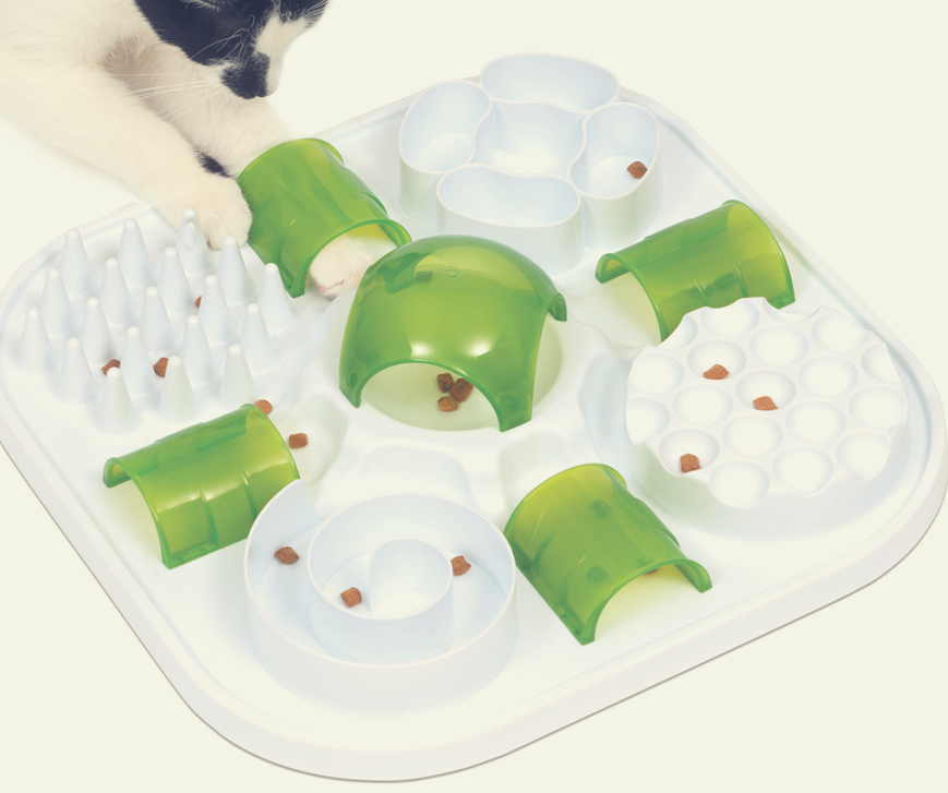 Лабиринт с лакомством 