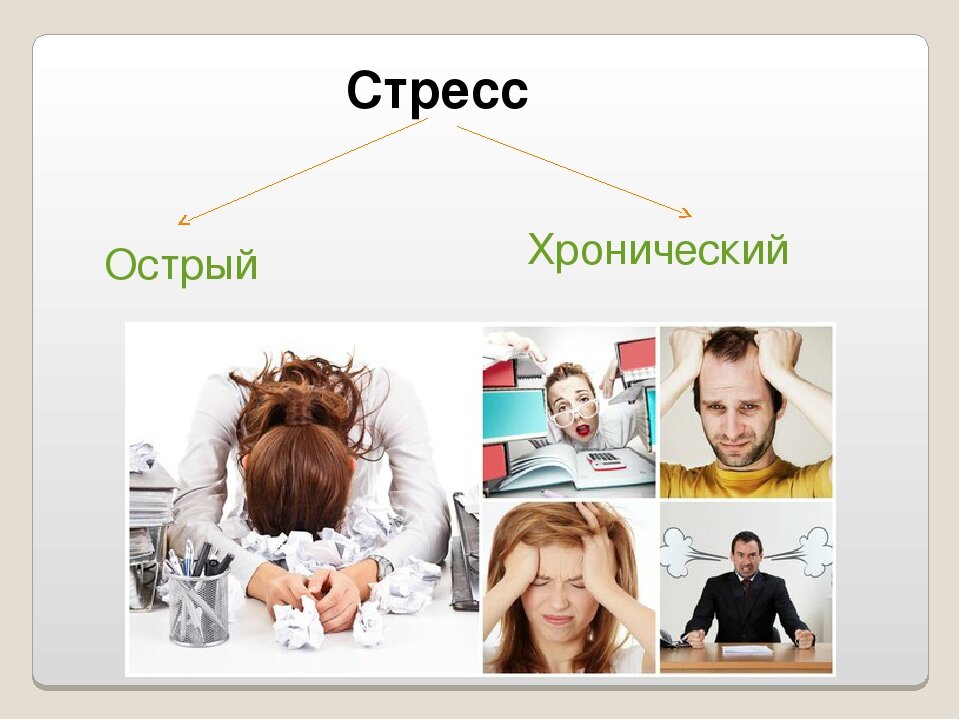 Фото взято из открытых источников