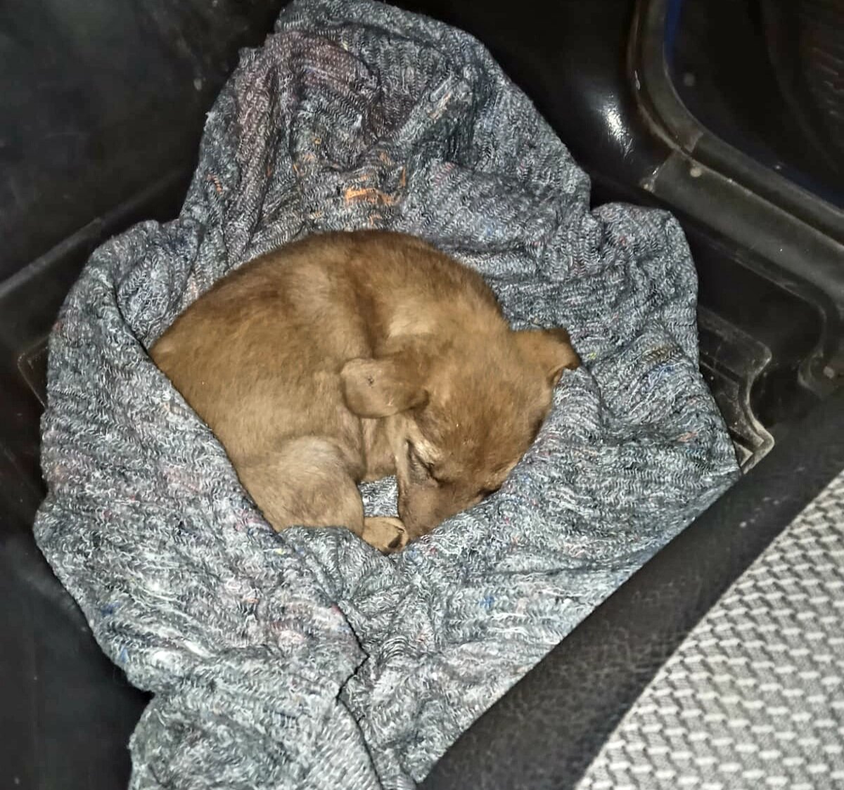 забрали с предприятия