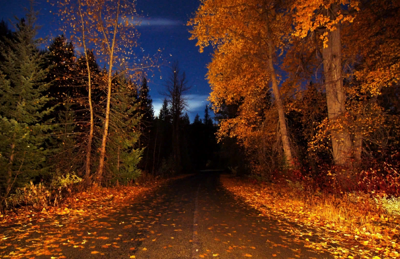 Источник: Яндекс Картинки