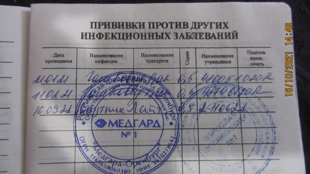 фото автора