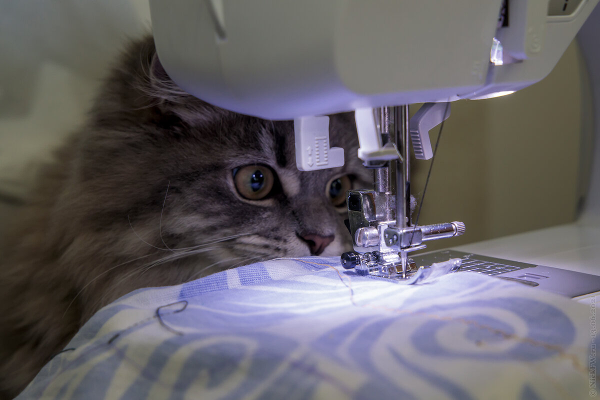 яндекс.картинки