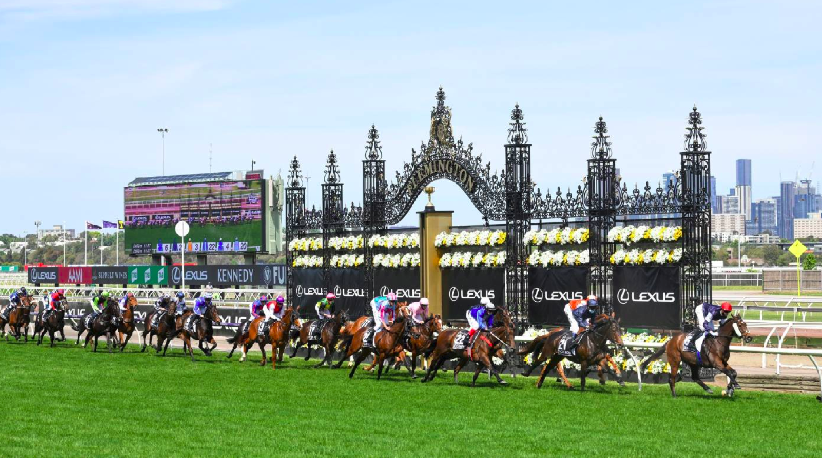 Лошадки мчат, зрители болеют. Кстати, можно же делать ставки. Попробую сыграть на следующий год.