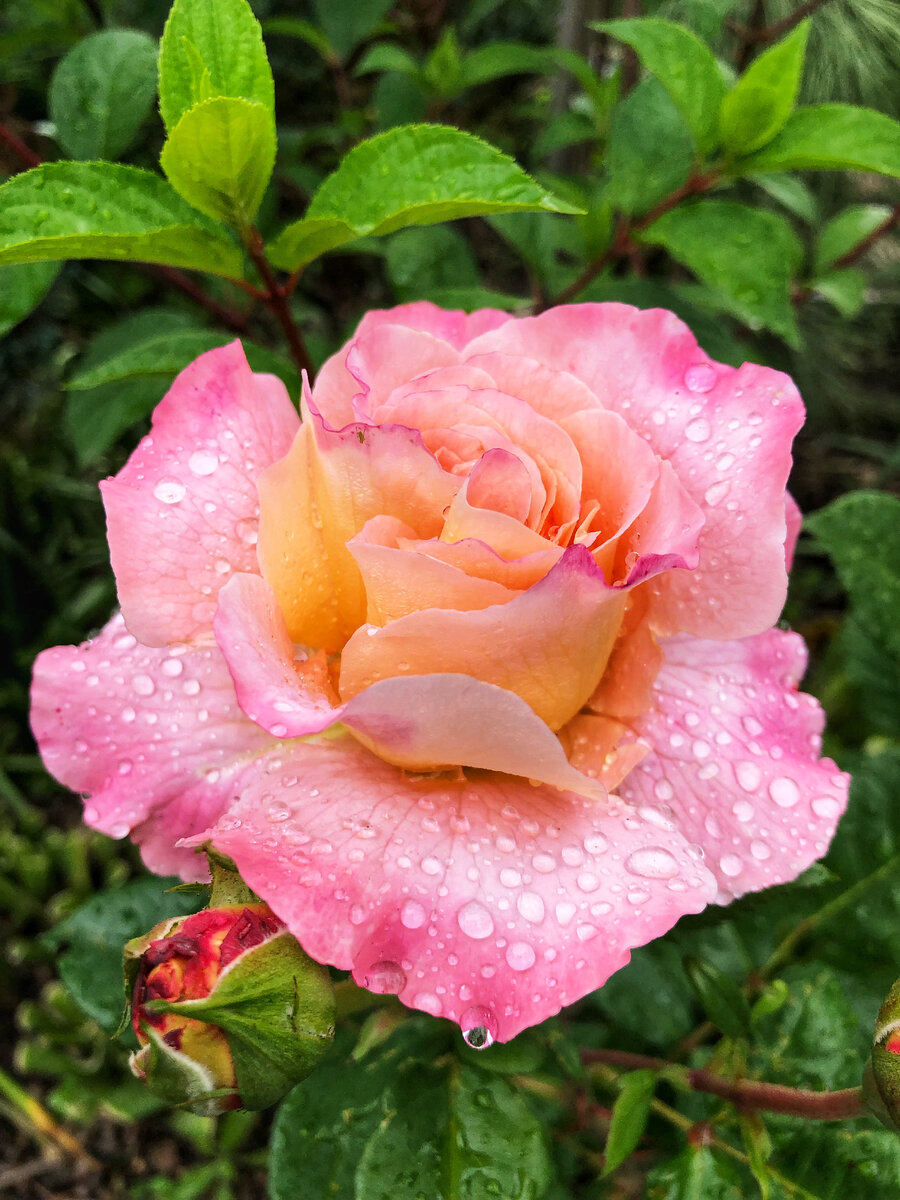 Фото Сергея Анри