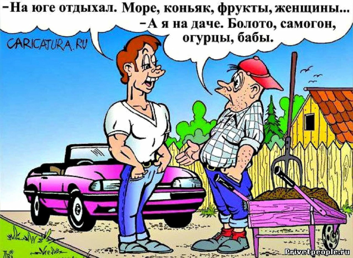 Юмор анекдоты. Анекдоты про дачу в картинках. Карикатура дача. Юмор картинки приколы анекдоты. Смешные карикатуры с надписями