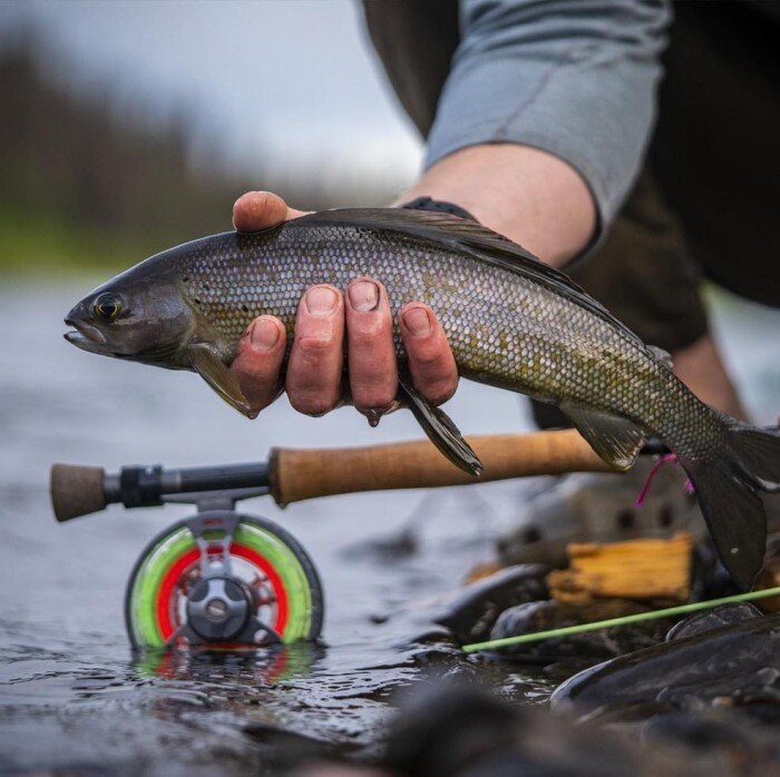 Фото взято из Яндекс.Картинки
