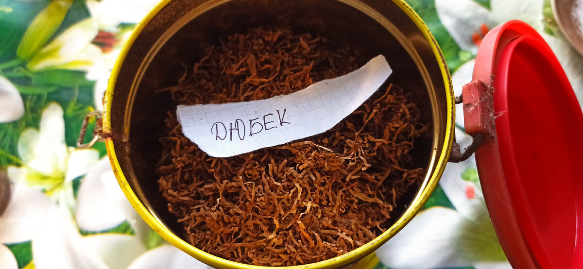 Не меньше 50 кустов высажу, выпал он сильно и в этом сезоне было всего 7 кустиков