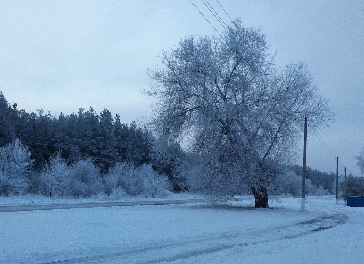Посмотрите направо