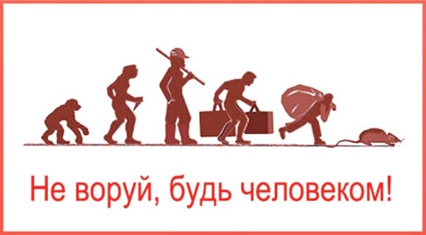 Фото из открытых источников яндекса 