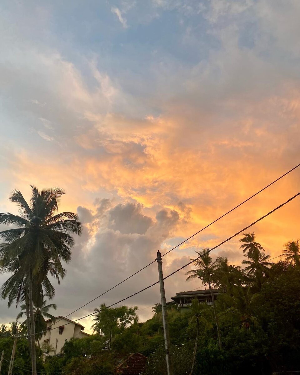 Шри-Ланка, пишу этот пост тут