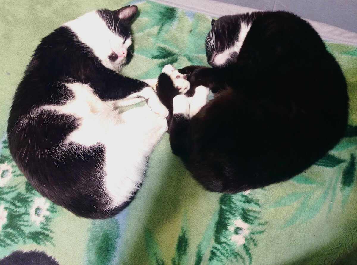 Геральт и Сурен передают привет из голубой лагуны😏