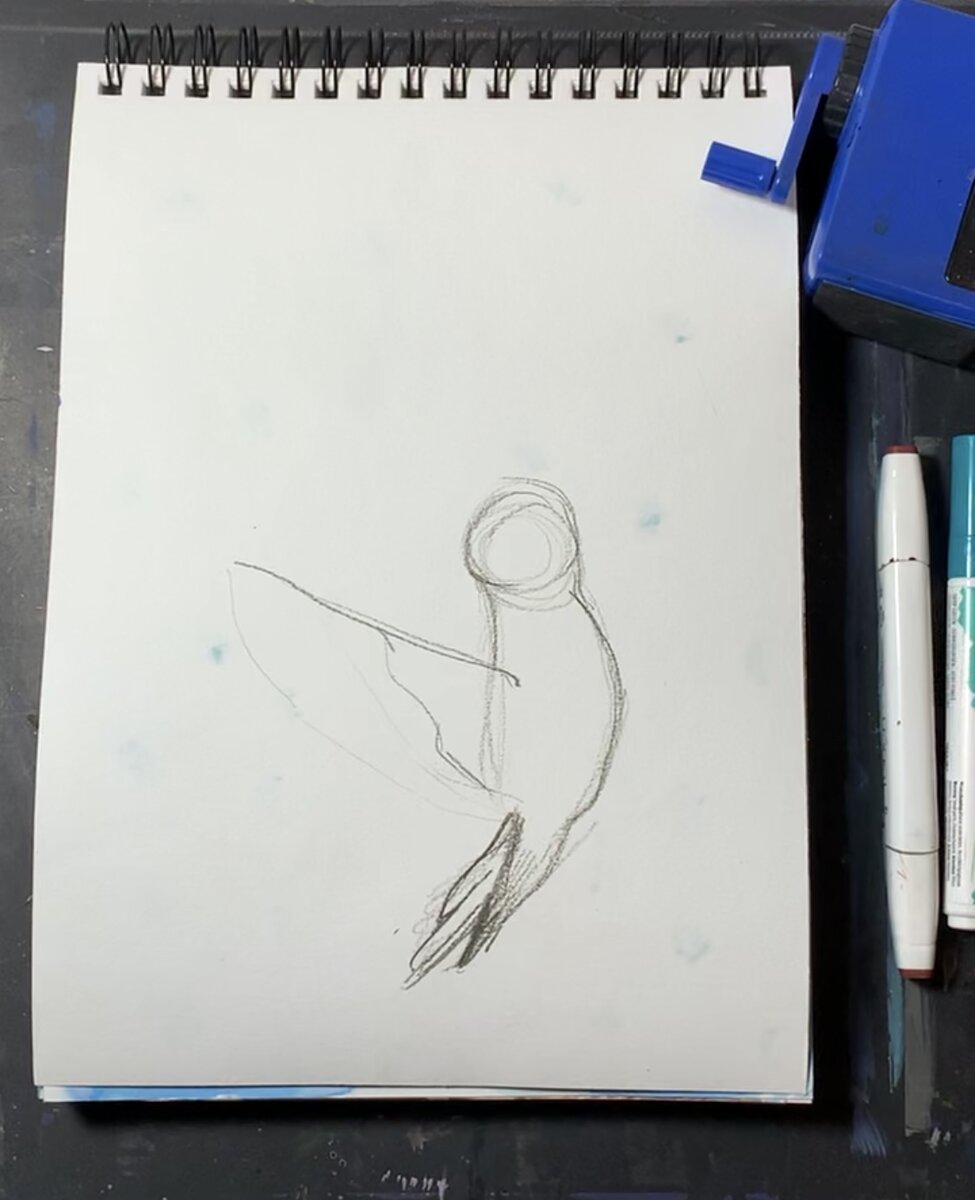 Намечаю основные формы птицы простыми фигурами (кругами и овалами), соединяя их между собой плавными линиями 