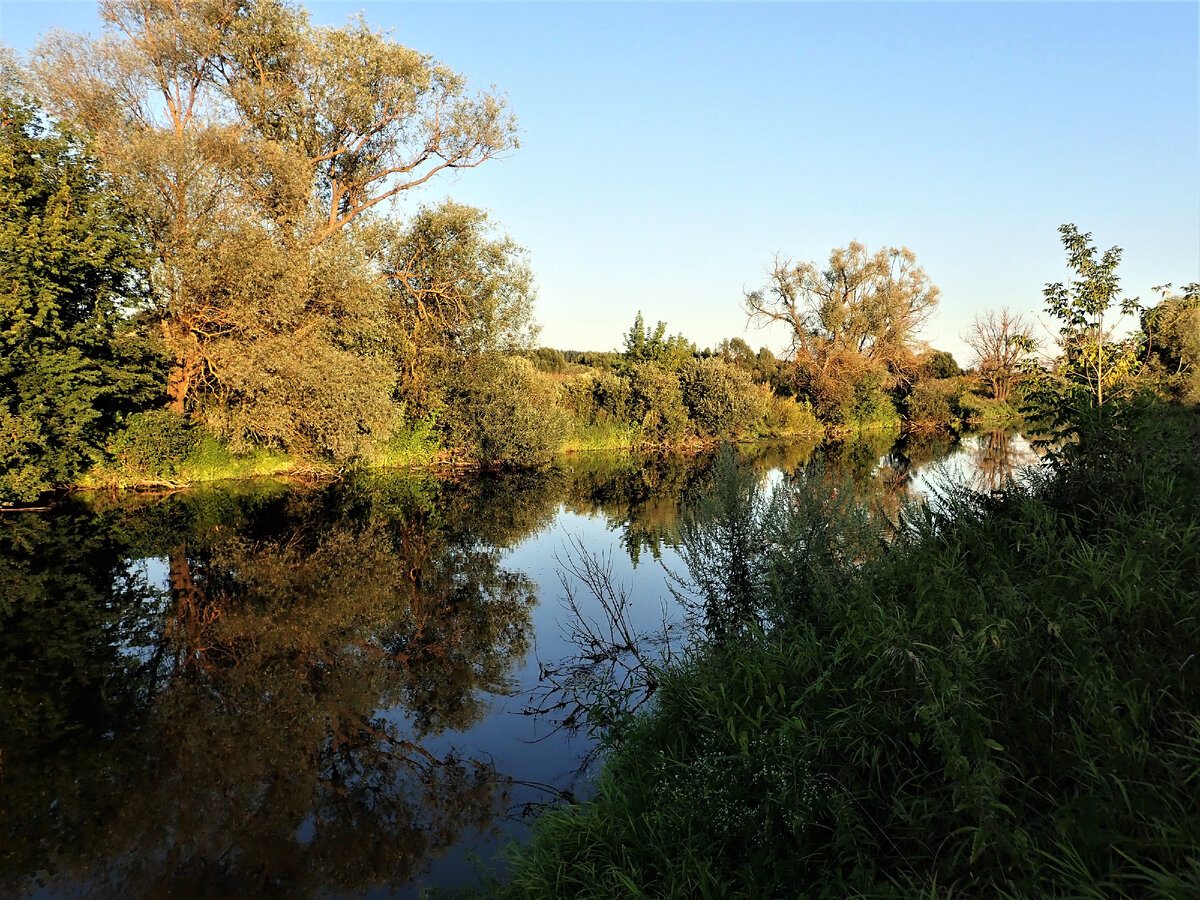 река Упа Тульская область