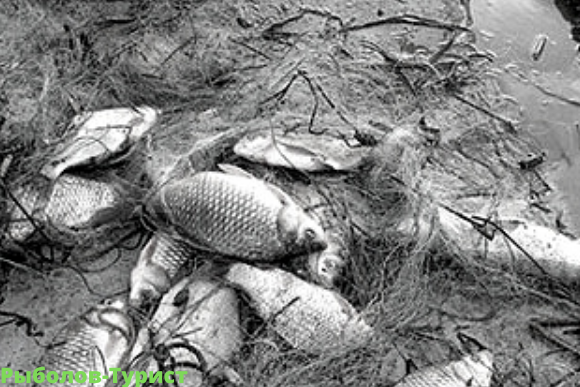 Так ловить карасе конечно печально.